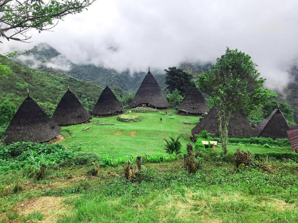 Komodoku One Love Homestay And Tour Labuan Bajo Ngoại thất bức ảnh